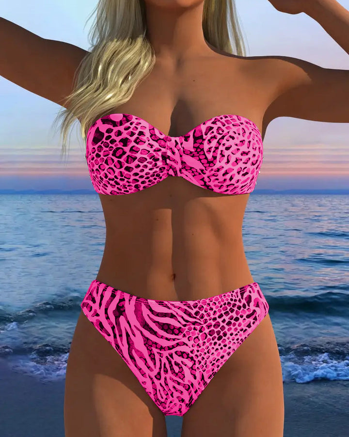 Sexy Leopard Print Two-Piece Swimsuit